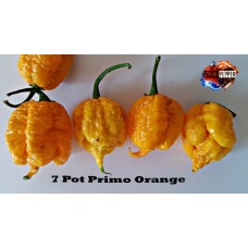 7 POT PRIMO ORANGE 
