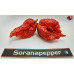 7 POT LAVA X TESTANERA - RED  ISOLATO