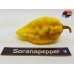 7 POT PRIMO RED X B.T. YELLOW 