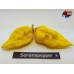 7 POT PRIMO RED X B.T. YELLOW 