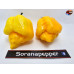 7 POT SILVA YELLOW ISOLATO