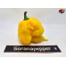 7 POT SILVA YELLOW ISOLATO