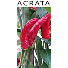 ACRATA (GOAT'S WEED)