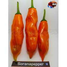 AJI AMARILLO