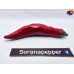 AJI BIBER RED ISOLATO X