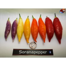 AJI CHALLVARURO