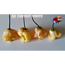 AJI FANTASY WHITE 