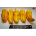 BHUT JOLOKIA SURPRISE YELLOW ISOLATO