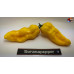 BHUT JOLOKIA SURPRISE YELLOW ISOLATO