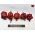 CAROLINA REAPER CARAMEL ISOLATO