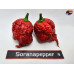 CAROLINA REAPER CARAMEL ISOLATO