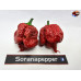 CAROLINA REAPER CARAMEL ISOLATO