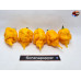 CAROLINA REAPER ORANGE 2 ISOLATO