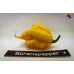 CAROLINA REAPER ORANGE ISOLATO