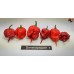 CAROLINA REAPER RED ISOLATO