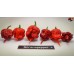 CAROLINA REAPER RED ISOLATO