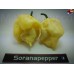 CAROLINA REAPER WHITE  ISOLATO