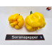 CAROLINA REAPER YELLOW  CREAM ISOLATO