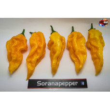 FATALII YELLOW ISOLATO 