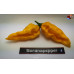 FATALII YELLOW ISOLATO 