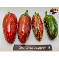 JALAPENO BIKER
