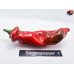 JALAPENO CHERNOBYL RED ISOLATO X
