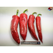 JALAPENO LARGE GIANT