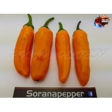 JALAPENO ORANGE