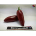 JALAPENO RED ISOLATO