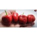 LARGE ROCOTO RED
