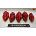 MORUGA BELZEBU' RED ISOLATO