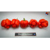 MORUGA SATAN STRAIN RED ISOLATO