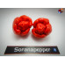 MORUGA SATAN STRAIN RED ISOLATO