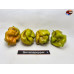 MORUGA SCORPION GOLDEN ISOLATO