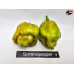 MORUGA SCORPION GOLDEN ISOLATO