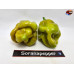 MORUGA SCORPION GOLDEN ISOLATO