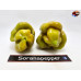 MORUGA SCORPION GOLDEN ISOLATO