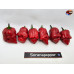 MORUGA X ARRIBA SAIA RED F4 ISOLATO