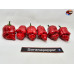 MORUGA X ARRIBA SAIA RED F4 ISOLATO