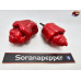 MORUGA X ARRIBA SAIA RED F4 ISOLATO