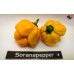 MORUGA YELLOW ISOLATO