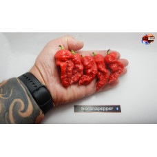 NAGA BRAIN LONG RED ISOLATO