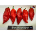 NAGA MORICH RED ISOLATO