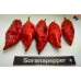 NAGA MORICH RED ISOLATO