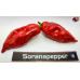 NAGA MORICH RED ISOLATO