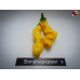 PENIS PEPPER YELLOW ISOLATO