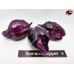 PIMENTA PURPLE WHITE ISOLATO