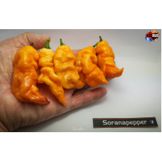 PINK TIGER X PEACH BHUT JOLOKIA ISOLATO