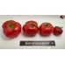 ROCOTO RED  