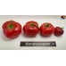 ROCOTO RED